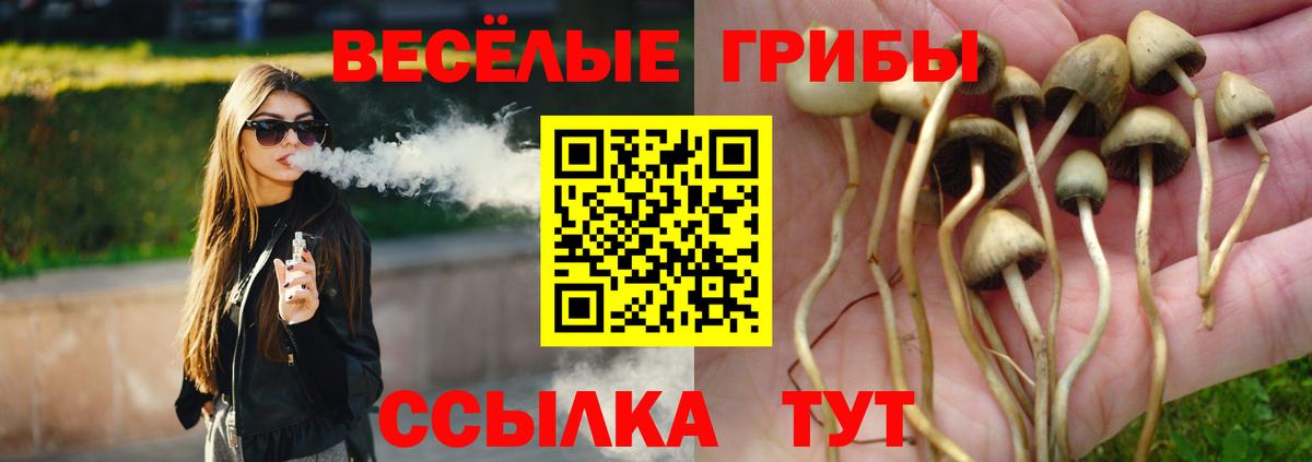Таганрог  Галлюциногенные грибы мухоморы  Вход с VPN 